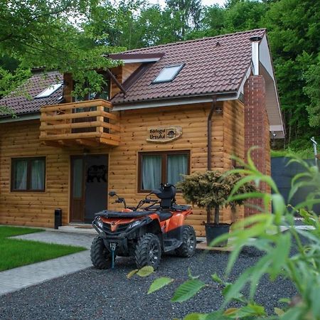 Bear's Lair Chalet Porumbacu de Sus Extérieur photo