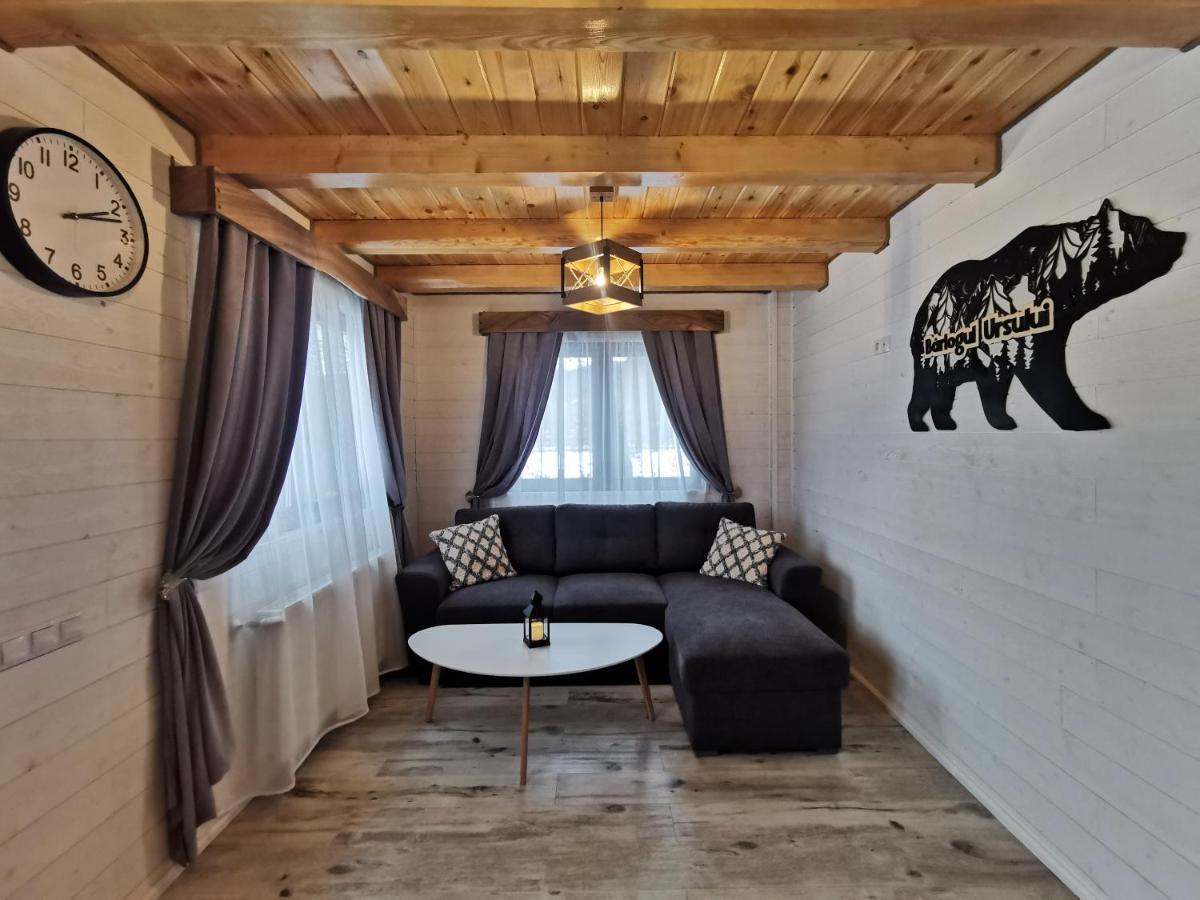 Bear's Lair Chalet Porumbacu de Sus Extérieur photo