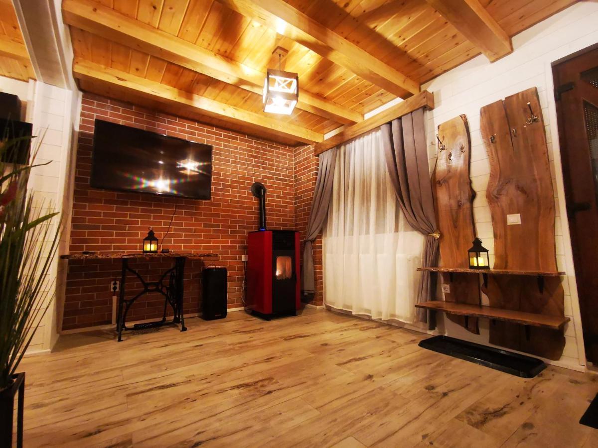Bear's Lair Chalet Porumbacu de Sus Extérieur photo
