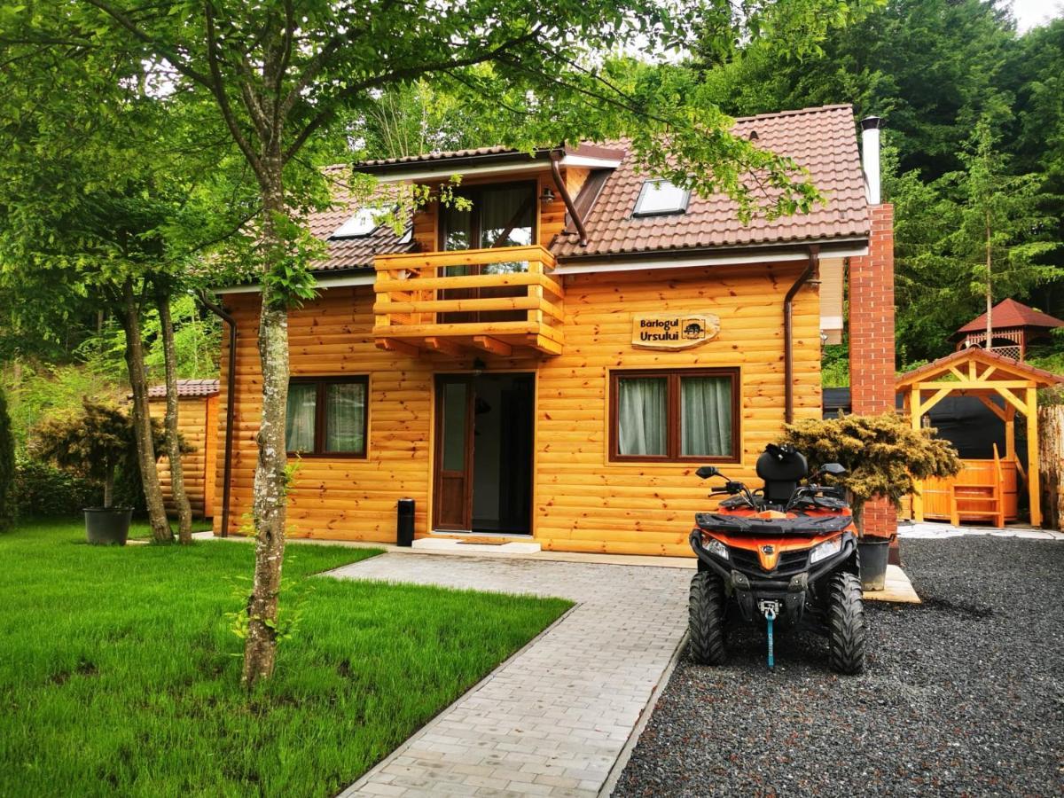 Bear's Lair Chalet Porumbacu de Sus Extérieur photo