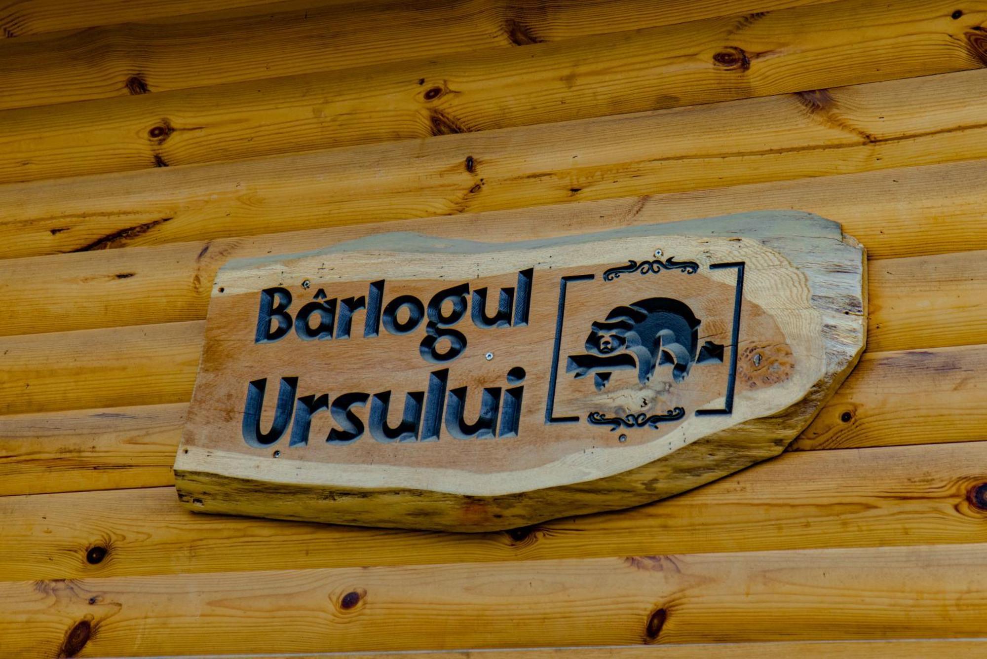 Bear's Lair Chalet Porumbacu de Sus Extérieur photo