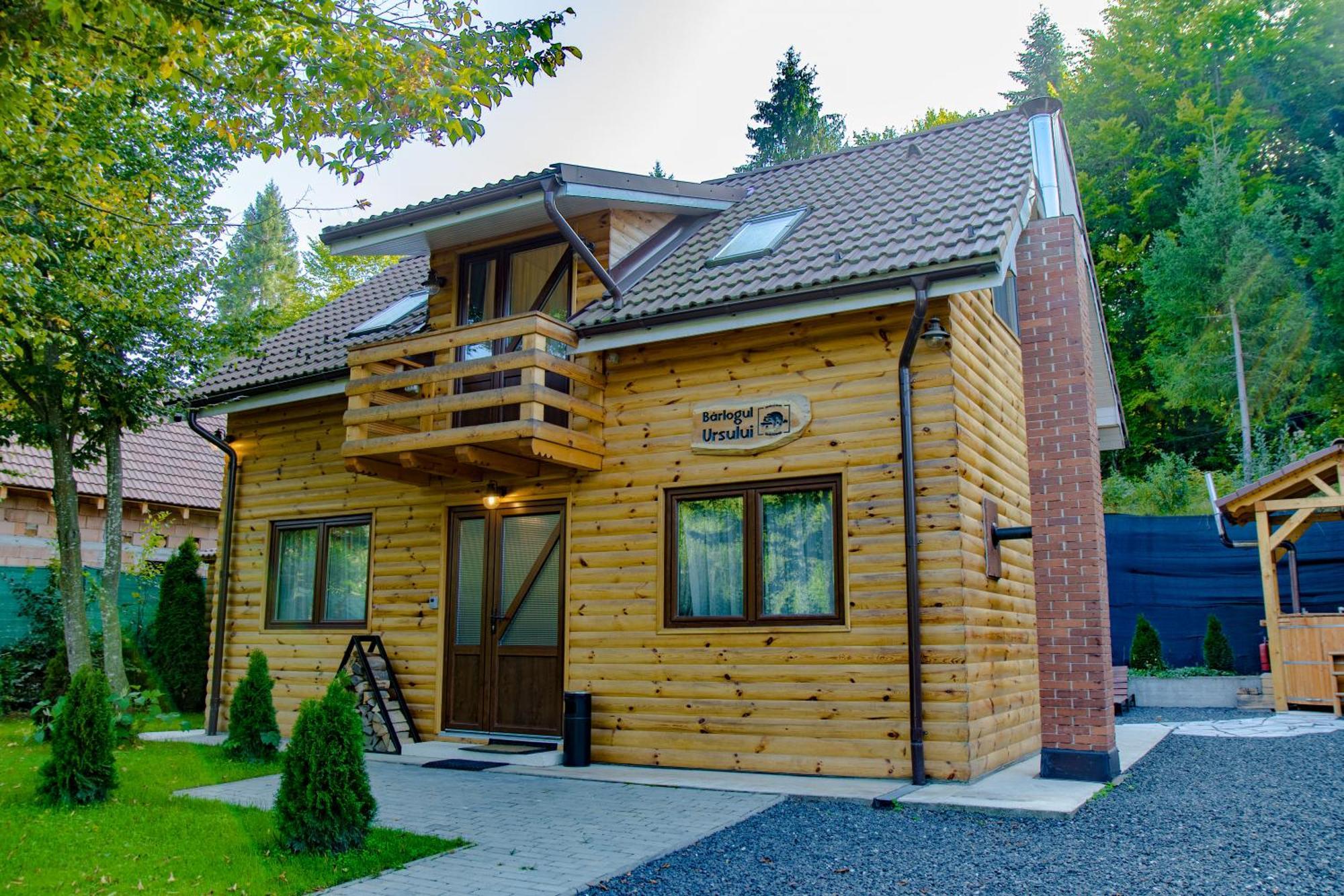 Bear's Lair Chalet Porumbacu de Sus Extérieur photo