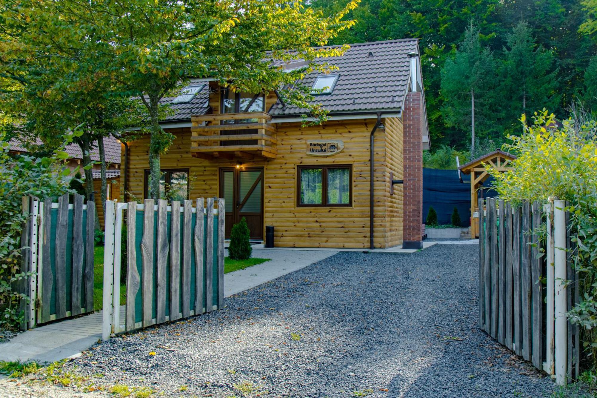 Bear's Lair Chalet Porumbacu de Sus Extérieur photo