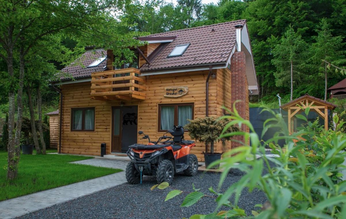 Bear's Lair Chalet Porumbacu de Sus Extérieur photo